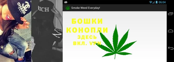 молекула духа Покачи