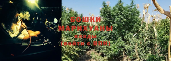 молекула духа Покачи